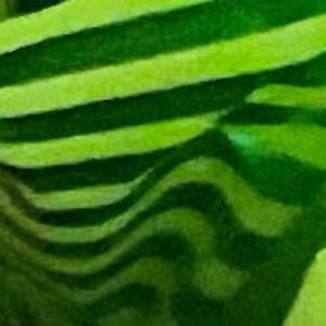 Meet your Posher, Victoria